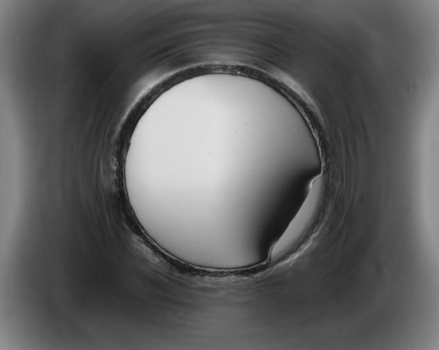 X0000086330926200704202038