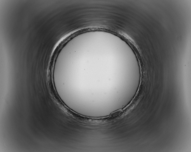 X0000086330928200704202038