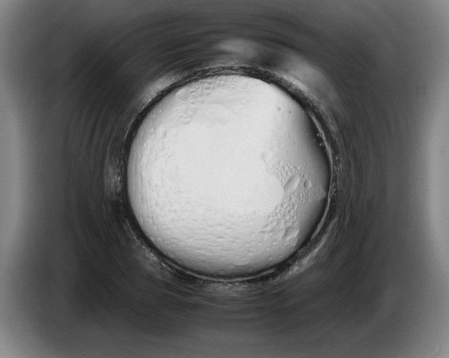 X0000086330929200704202038