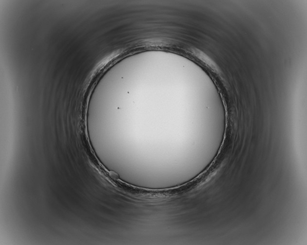 X0000086330930200704202038