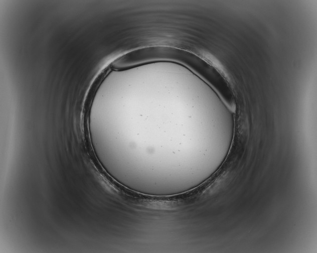 X0000086330932200704202038