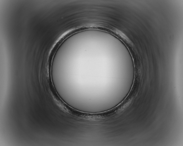 X0000086330934200704202038