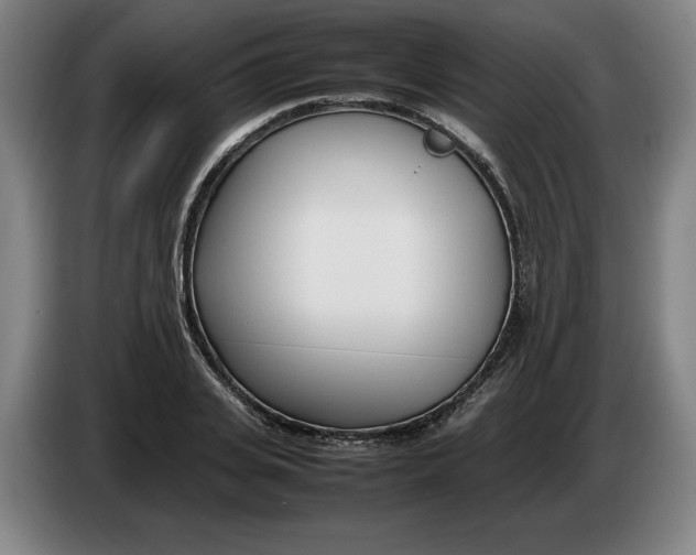 X0000086330935200704202038