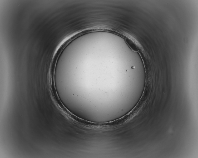 X0000086330936200704202038