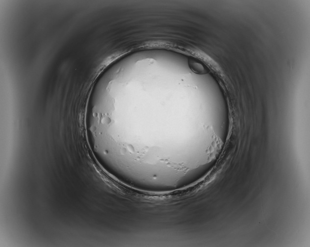 X0000086330937200704202038