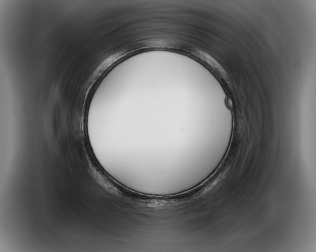 X0000086330938200704202038