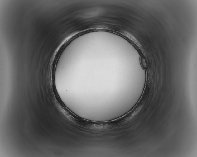 X0000086330939200704202039