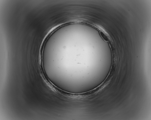 X0000086330940200704202039