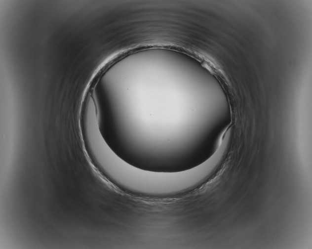 X0000086330942200704202039