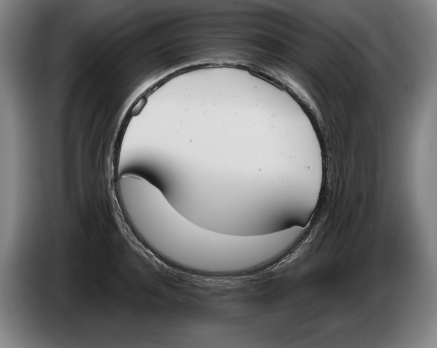 X0000086330944200704202039