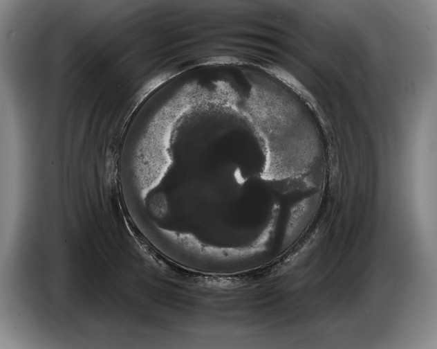 X0000086330945200704202039