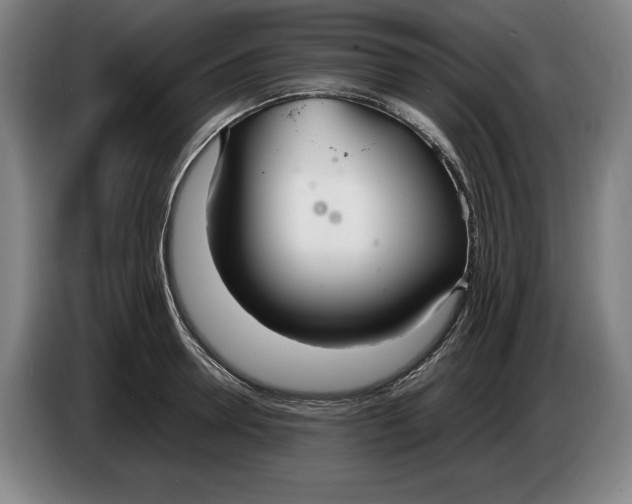 X0000086330946200704202039