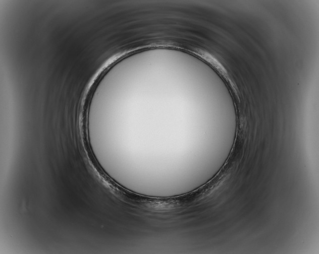 X0000086330947200704202039