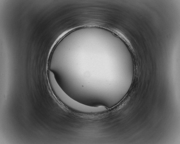 X0000086330948200704202039