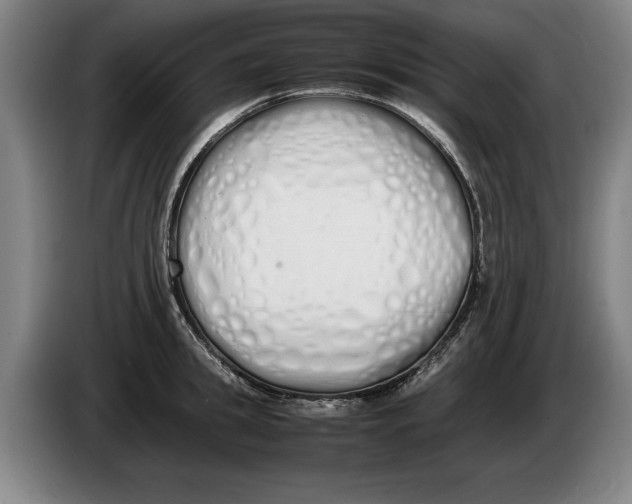 X0000086330949200704202039