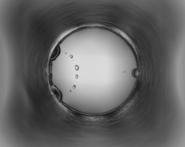 X0000086330951200704202039