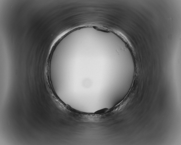 X0000086330952200704202039