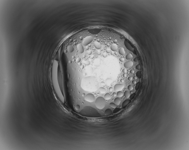 X0000086330953200704202039