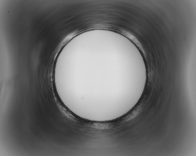 X0000086330954200704202039