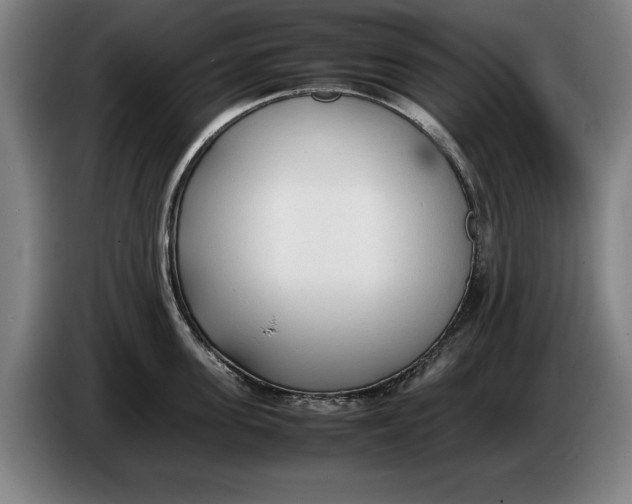 X0000086330955200704202039