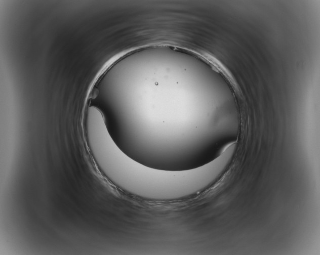 X0000086330956200704202039