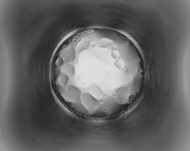 X0000086330957200704202039