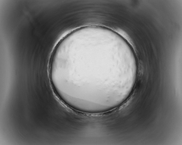 X0000086330958200704202039