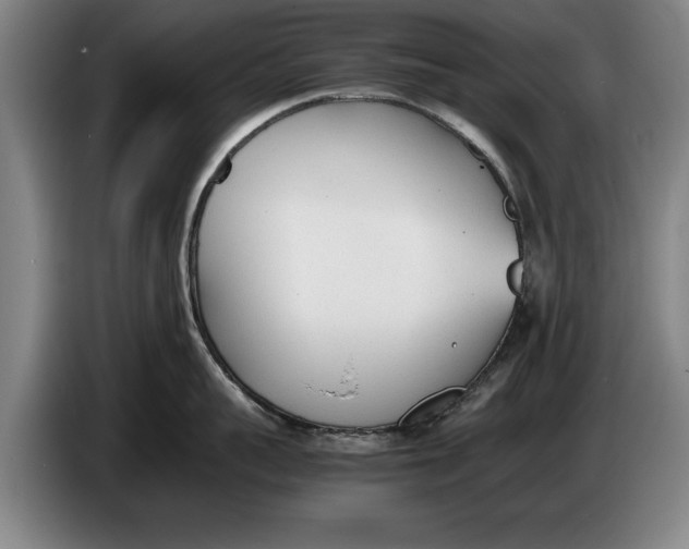 X0000086330959200704202039