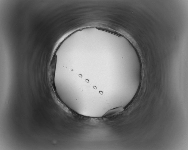 X0000086330960200704202039