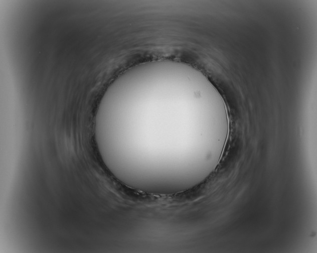 X0000086330961200704202038