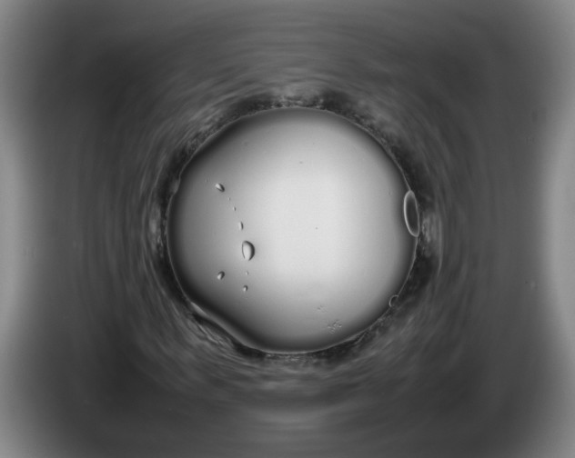 X0000086330963200704202038