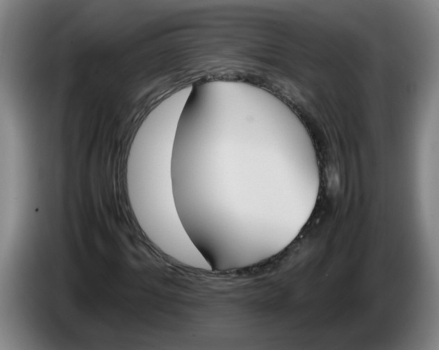 X0000086330964200704202038