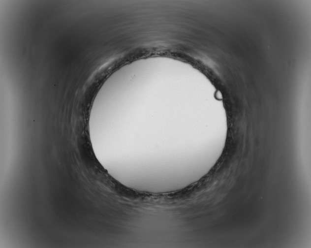 X0000086330967200704202038