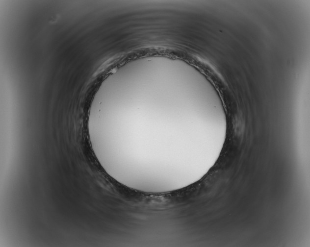 X0000086330968200704202038