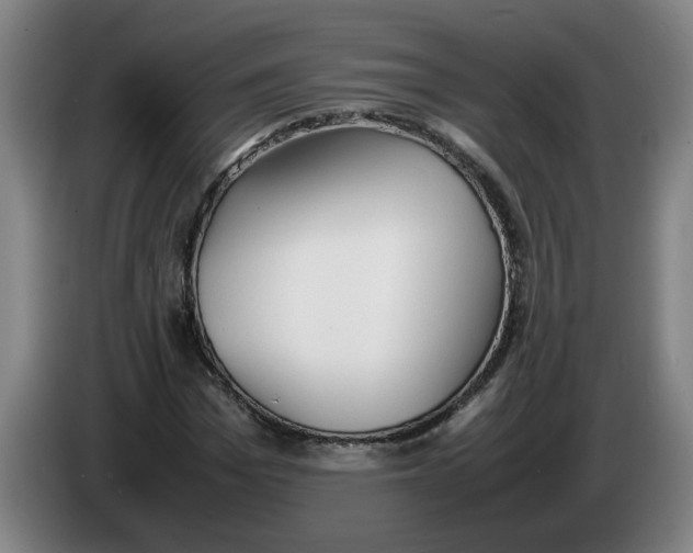 X0000086330969200704202038