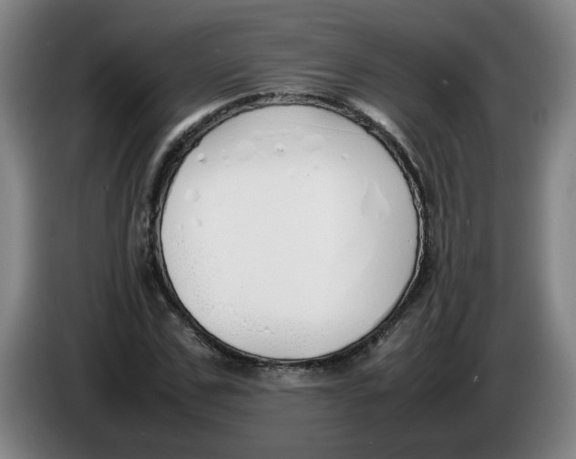 X0000086330971200704202038