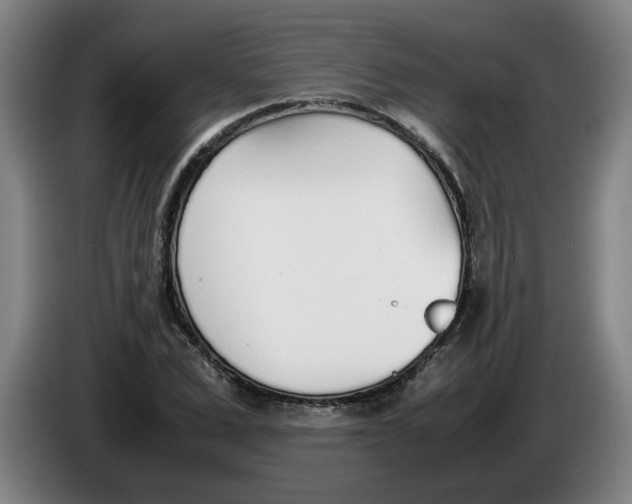 X0000086330975200704202038