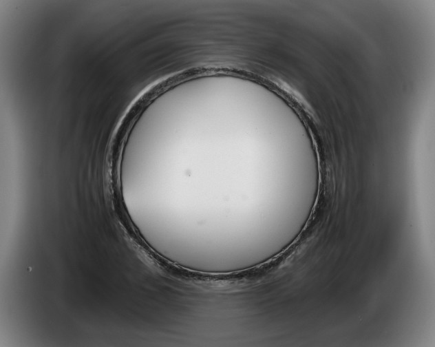 X0000086330976200704202038