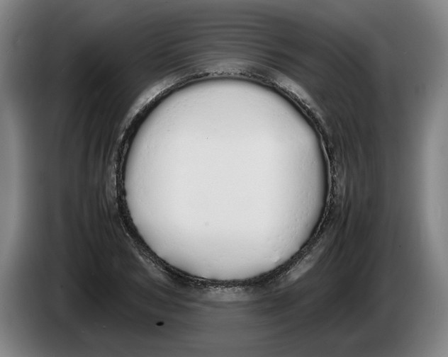 X0000086330978200704202038