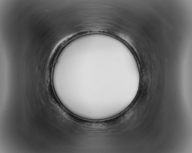 X0000086330979200704202038