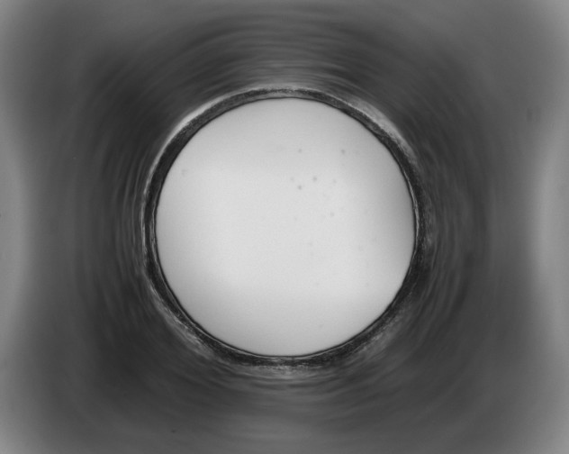 X0000086330980200704202038