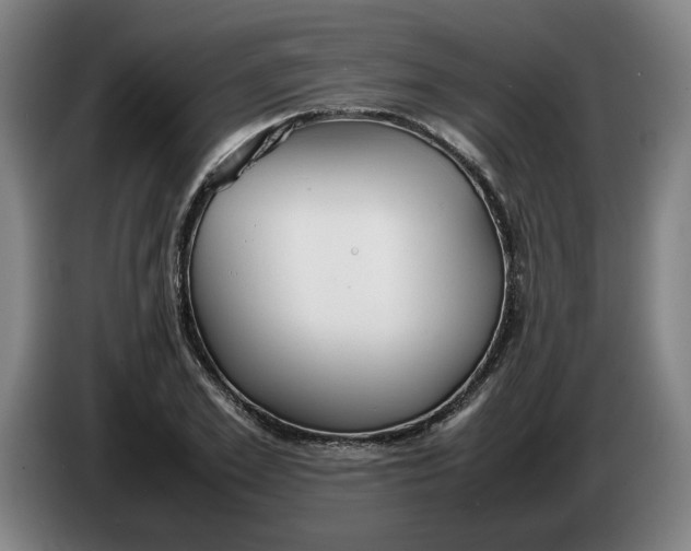 X0000086330981200704202038