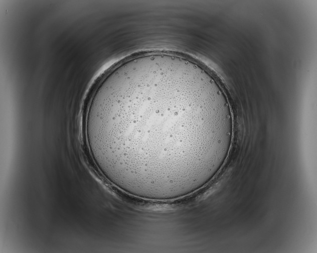 X0000086330982200704202038