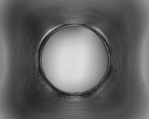 X0000086330983200704202038