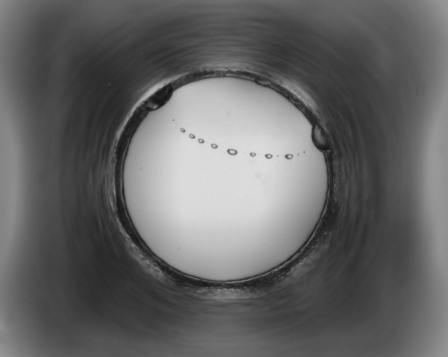 X0000086330984200704202038