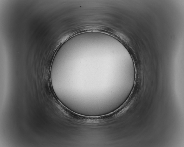 X0000086330985200704202038