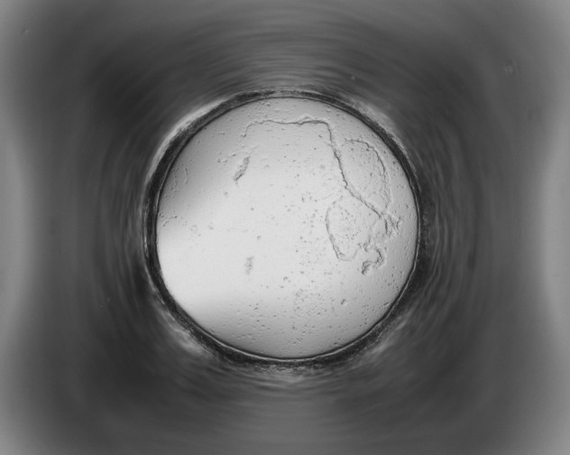 X0000086330987200704202038