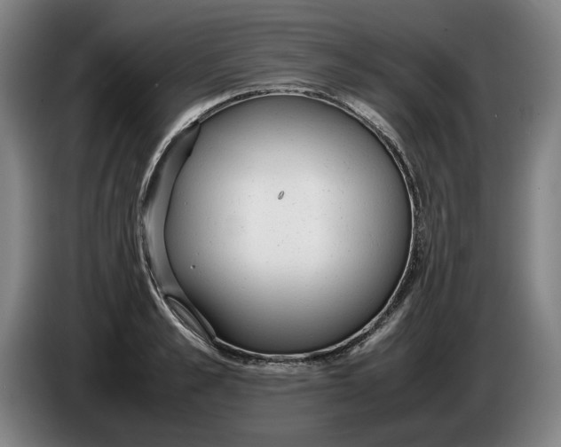 X0000086330989200704202038