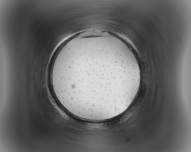 X0000086330991200704202038