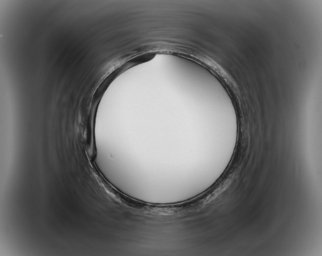 X0000086330993200704202038